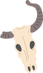 Vintage Skull Of Cow