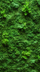 Fototapeta premium Vertical garden with various types of green plants growing on a wall, creating a lush and natural backdrop