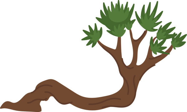 Bonsai Tree Handdrawn