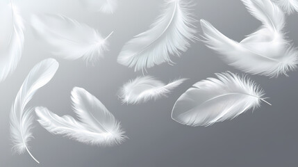 Obraz premium Soft white feathers in motion on clear transparent background. Tranquil - Lake. Illustration