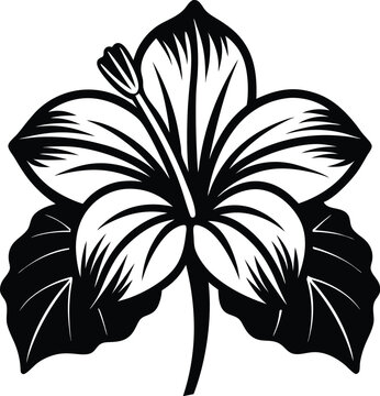 recommend clip art: hibiscus line art, hibiscus flower line art vector illustration, hibiscus flower icon.