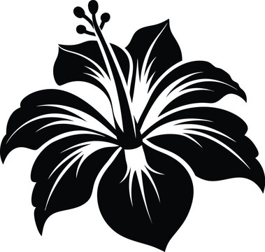 recommend clip art: hibiscus line art, hibiscus flower line art vector illustration, hibiscus flower icon.