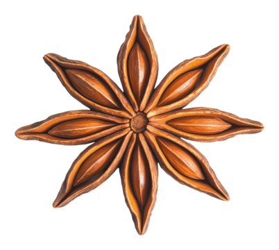 Star anise pod with eight brown pointed segments, isolated. Aromatic spice concept