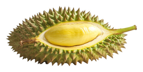 Fresh durian fruit with spiky shell and exposed creamy flesh. Exotic food concept