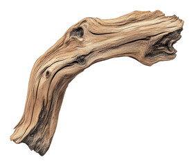 Intricately textured driftwood piece on transparent background. Nature art concept