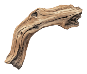 Intricately textured driftwood piece on transparent background. Nature art concept