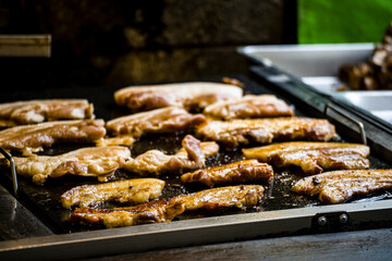 Wild mountain flavor, close-up of teppanyaki wild boar