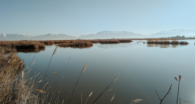Spring Landscape Views of Ogden Bay Waterfowl Management Area, Hooper Utah