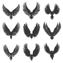Obraz premium Bird Wings Collection for Design Use