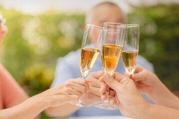 A group of people clink champagne glasses together in a celebratory toast. The image conveys joy, celebration, and togetherness in an outdoor setting, symbolizing special moments and shared happiness.