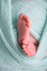 Little human newborn baby feet details close up