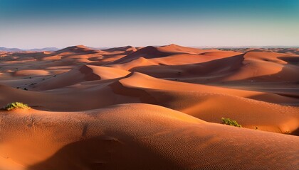 The tranquility of nature enhances modern living.  