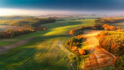 Obraz premium A journey through minimal landscapes unfolds. 