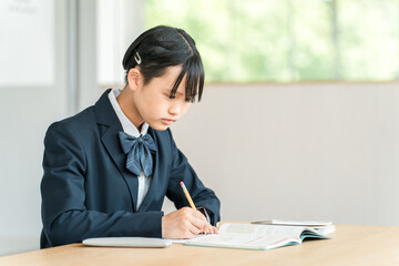 勉強する中学生・高校生の女の子（宿題・受験勉強・学習・教育）
