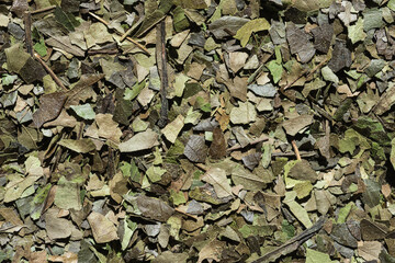 Macro Image Of Dried Guayusa Tea Leaf Flakes