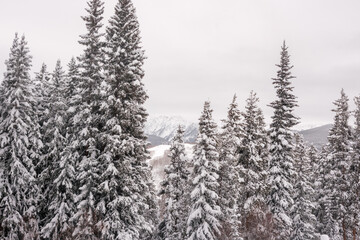Fototapeta premium Skiing at Vail Colorado in Winter.