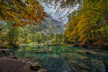 Blausee Switzerland, nature landscape at blue lake in autumn season