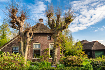 Fototapeta premium Giethoorn Netherlands, city skyline at canal and traditional house in Giethoorn village