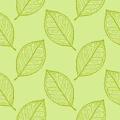 leaves seamless pattern vector illustration. Organic nature plant vector pattern.