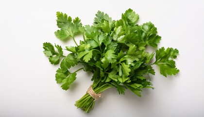 Obraz premium Fresh Parsley Bunch