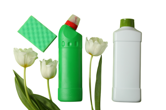 Spring cleaning, cleaning supplies and a bouquet of tulips in a plastic basket in hands isolated on a white background, with space for text, PNG