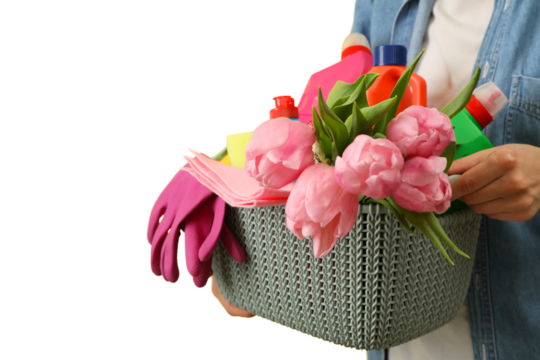 Spring cleaning, cleaning supplies and a bouquet of tulips in a plastic basket in hands isolated on a white background, with space for text, PNG