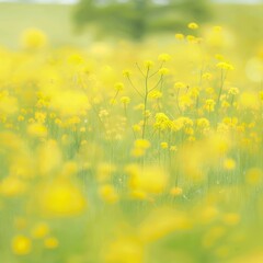 Fototapeta premium Serene field of vibrant yellow wildflowers.