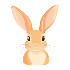 Obraz premium Rabbit illustration animal bunny vector