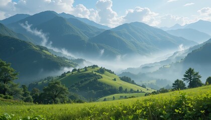 Obraz premium Scenic aerial perspective of nature's beauty