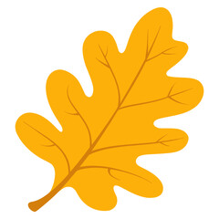 Obraz premium Yellow rounded oak leaf illustration autumn fall vector