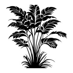 Tropical long leaves bush illustration silhouette plant vector