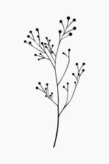 Minimalist botanical silhouette art vector