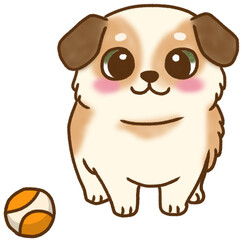 Beloved Pet