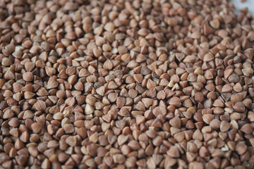 Brown buckwheat seeds scattered on a white surface