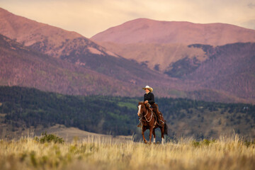 Colorado Cowgirl riding in Mountain ranch on Quarter Horse