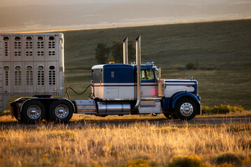 semi-truck eighteen wheeler with stock livestock cattle trailer on dirt road mountain truck rig 