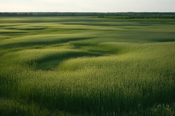 Obraz premium Aerial view of a grassy field featuring a solitary horse in the distance.