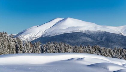 Obraz premium large beautiful snowdrift cutout