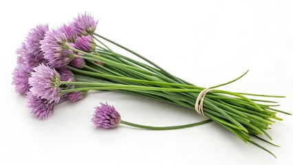 Fototapeta premium Chive Blossoms, Purple Chive Flowers, Culinary Herbs, Spring Herbs, Garden Herbs, White Background, Food Photography, Herb Photography, Close Up Chives