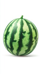 Watermelon. Fruit. Watermelon on white background