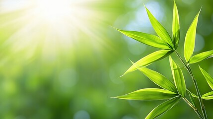 Sunlit Green Leaves with Bokeh Background