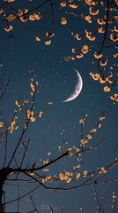 Night sky plum blossoms and moon illustration poster background