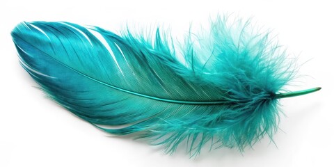 Obraz premium A vibrant turquoise feather lies delicately on a soft white surface, its iridescent sheen captivating the light