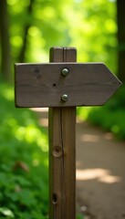 Close-up weathered wooden trail marker; two paths diverge, bright sunlight , sunny, crossing, arrow