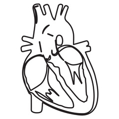 human heart line