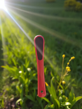 Pez celeste con rayas en pecera