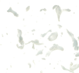 White bubble foam fly in many shape form and splashing in air. Bubble foam use to clean wash dirty area. White background isolated