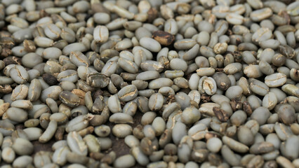 Unroasted Coffee Beans Drying