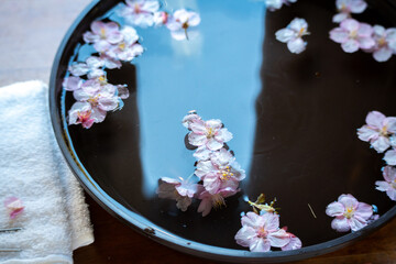 水面に浮く桜の花びら