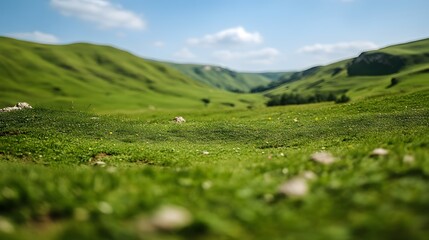 Serene Green Hills Landscape Photography